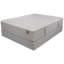 Peluche LYON-105760838