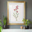 Délicat rose I - Cadre photo, reproduction d'art sur papier-832333481-832333474