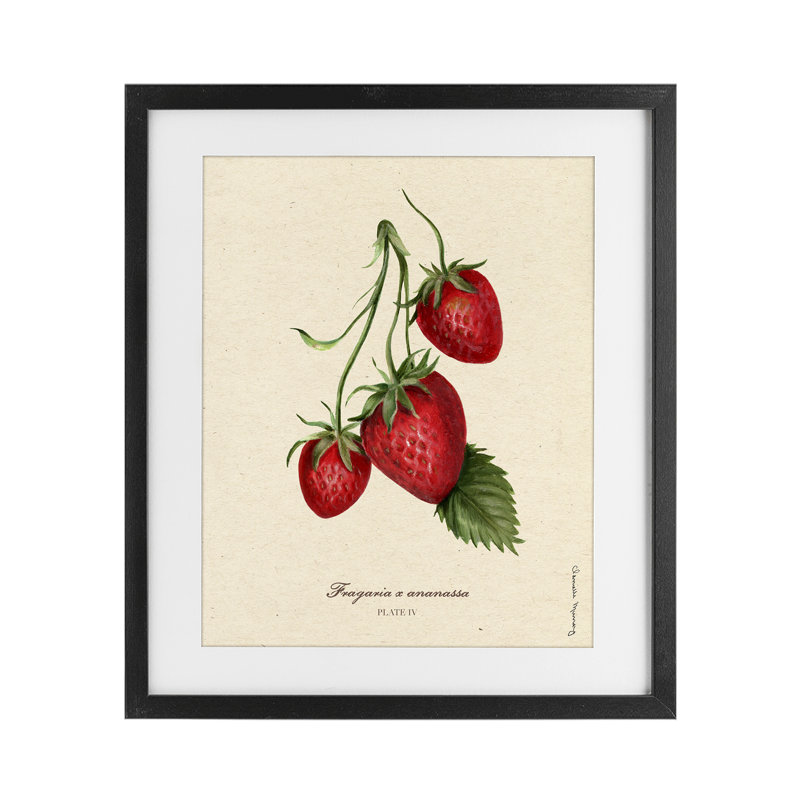 «Strawberry Fruit Portrait», reproduction encadrée sous verre, conception de Danielle Murray, H 16 po x l 13 po