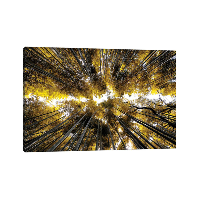 Arashiyama Bamboo Forest I 1 Piece Wrapped Canvas Wall Art, 20.32 cm H x 30.48 cm W