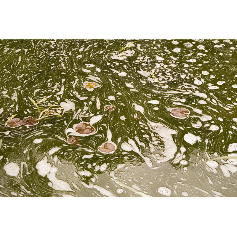 Swirling water and scum, 61cm H x 91cm W