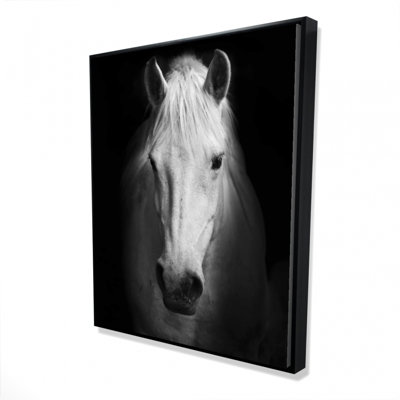 Monochrome Horse Print On Canvas