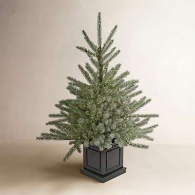 Blue 4' Pre-Lit Spruce Tree