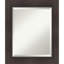 Miroir mural incliné biseauté-119334319-119334321