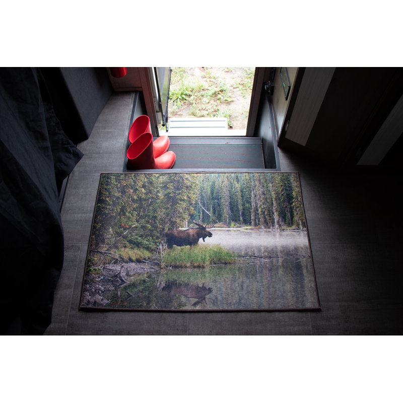 Tapis Moose, Rectangle 2 pi x 3 pi