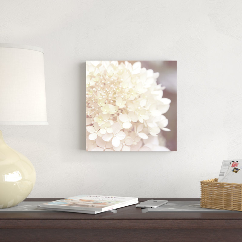 Hydrangea Dream I, H 12 po x l 12 po
