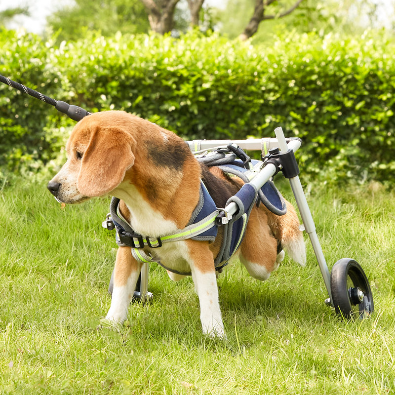 Fauteuil roulant pliable pour chien, H 18,89 po x l 19,48 po x P 11,61 po