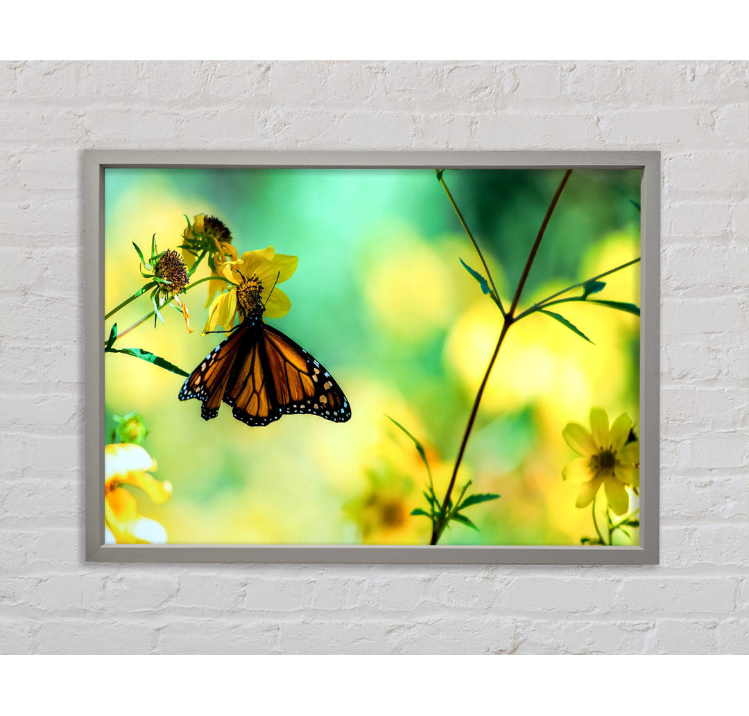 Monarch Schmetterling auf einer gelben Blume - Einzelner Bilderrahmen Kunstdrucke auf Leinwand