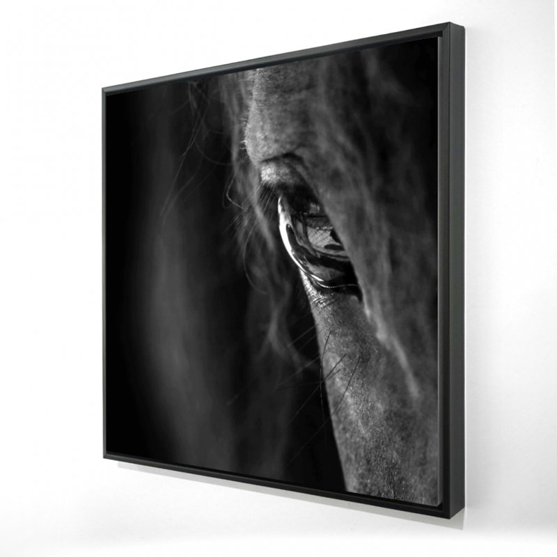 Cheval noir imprimé sur toile