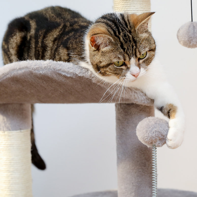 Petit arbre à chat 32,7 po, tour pour chat avec brosse autoportante et grattoir en sisal, gris