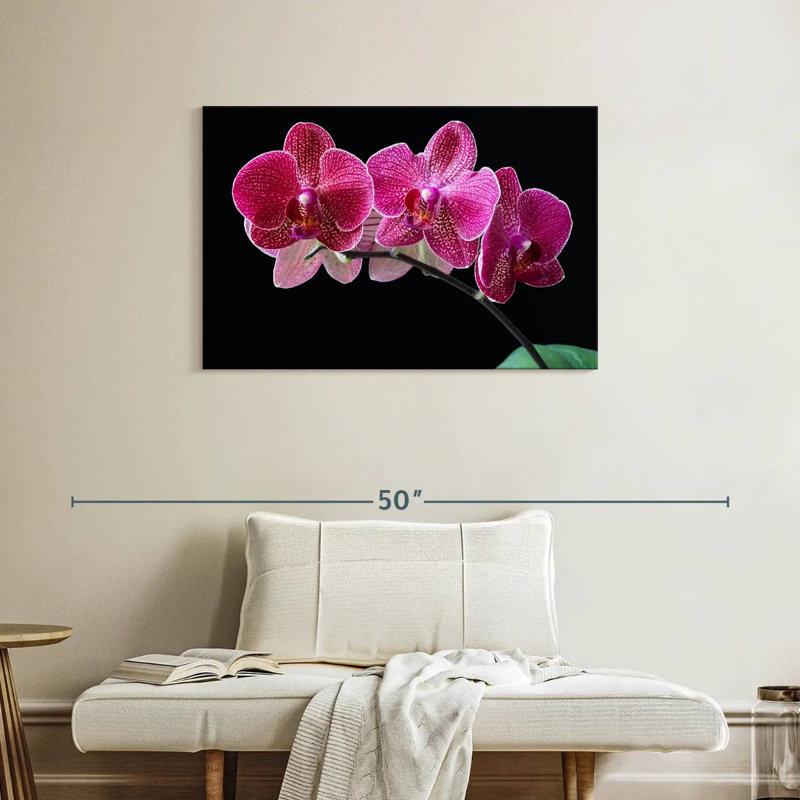 Orchidée mauve, H 24 po x l 36 po