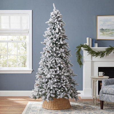 10ft. Prelit Flocked Livingston Fir Artificial Christmas Tree with Pine Cones