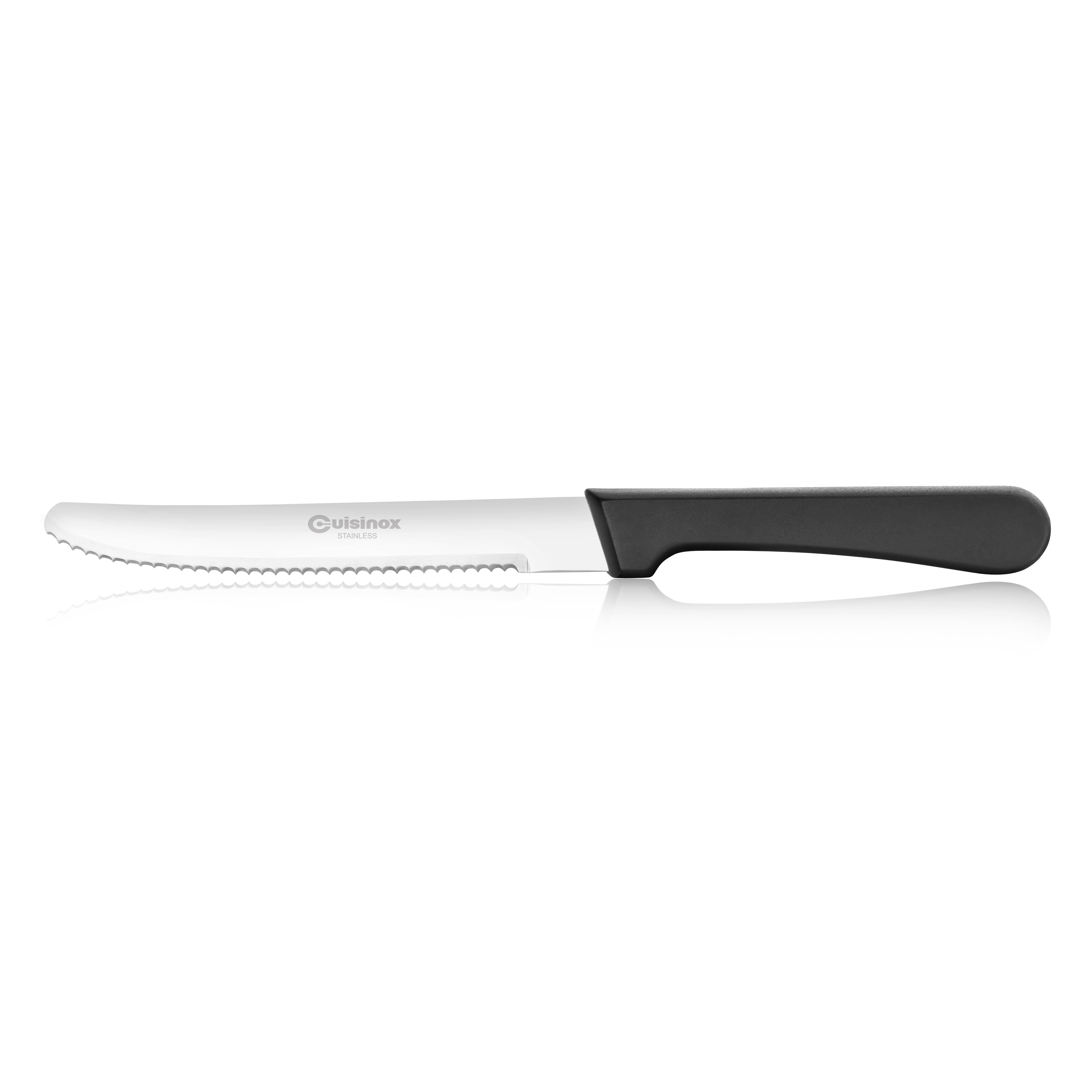 Stainless Steel Serrated Steak Knife Set Dishwasher Safe (Set of 6) Winston Porter