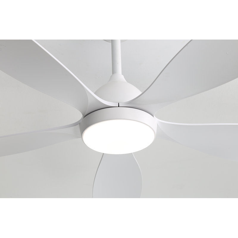 5-leaf white ceiling fan