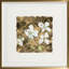 Gold & Dogwood Print by Robert Robinson