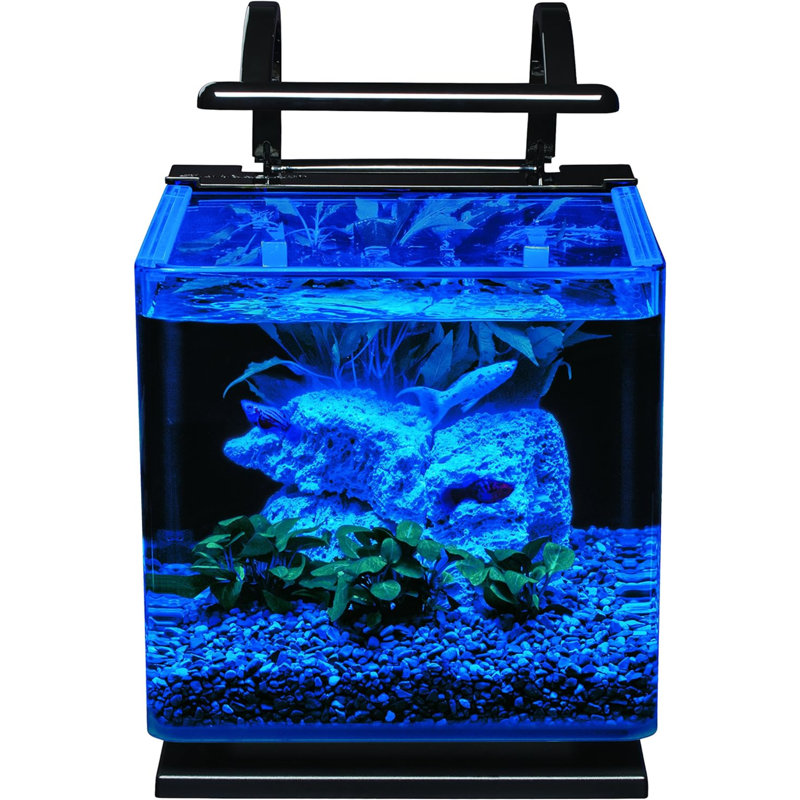 Ensemble d'aquarium Contour Glass