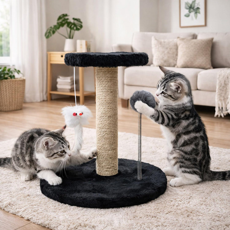 Scratching Post