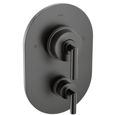 Arris Posi-Temp with Built-in 3-Function Transfer Valve Trim Kit