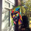 Drapeau de la maison Hippie Dawg-112702950