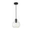Inola 1-Light Dimmable Pendant-746839723