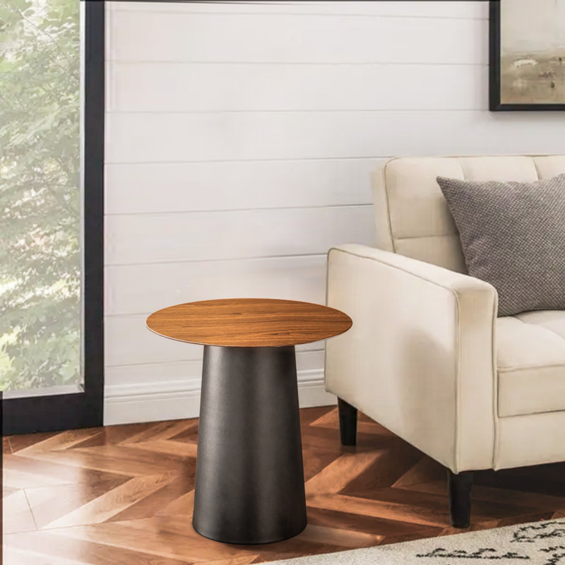 Table basse ronde simple en métal Dellia, H 18,7 po x L 17,7 po x P 17,7 po, Noir, Noir