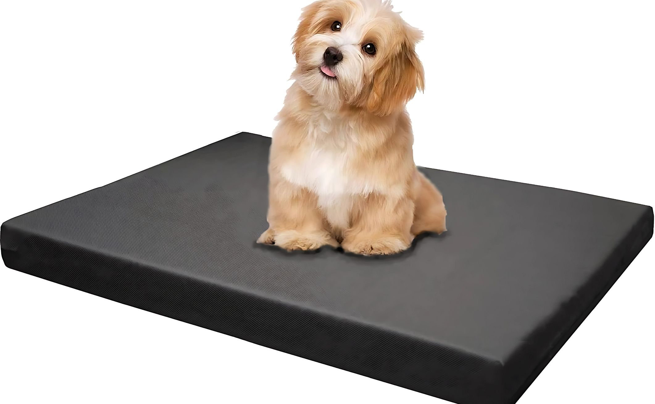 Latitude Run® Dogbed4less Memory Foam Platform Dog Bed, Crate
