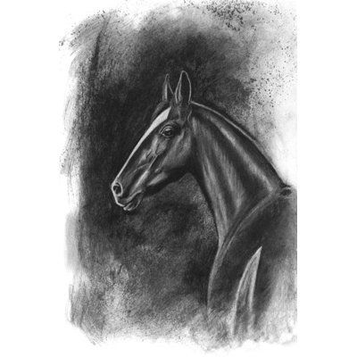 Portrait équestre gris anthracite II