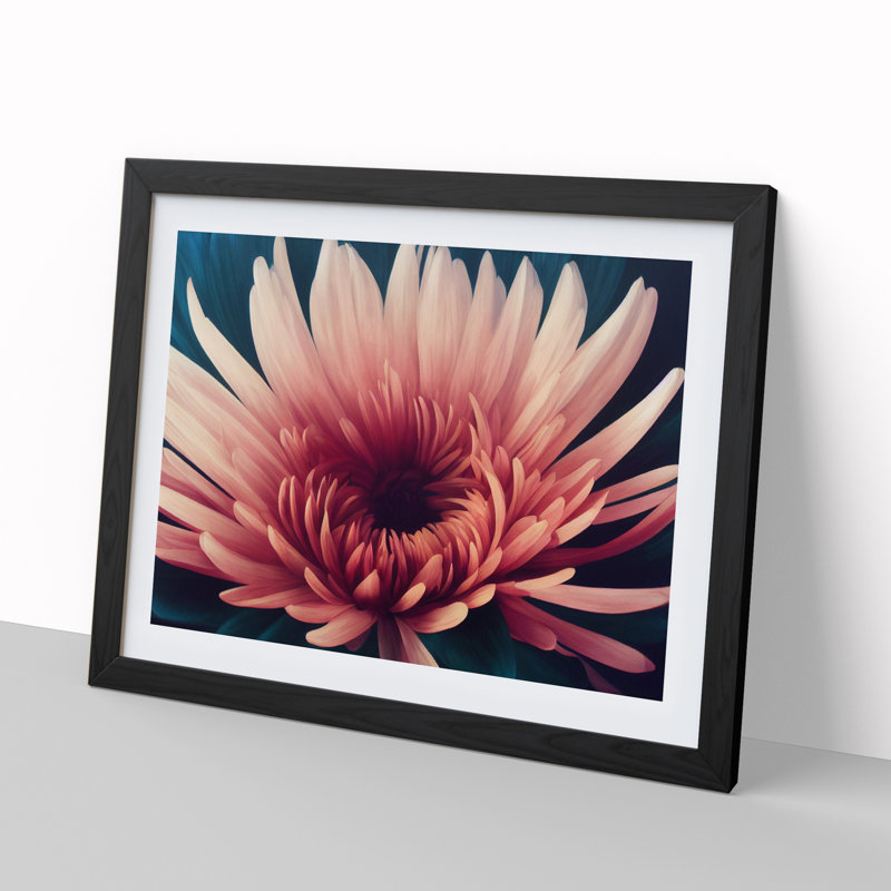 Impactful Chrysanthemum Flower 1 Piece Single Picture Frame Wall Art, 46cm H x 64cm W x 2cm D, Black