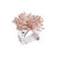 Brilliant Napkin Ring-57345255