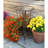 18" Classic Copper Birdbath with Tulip Stand