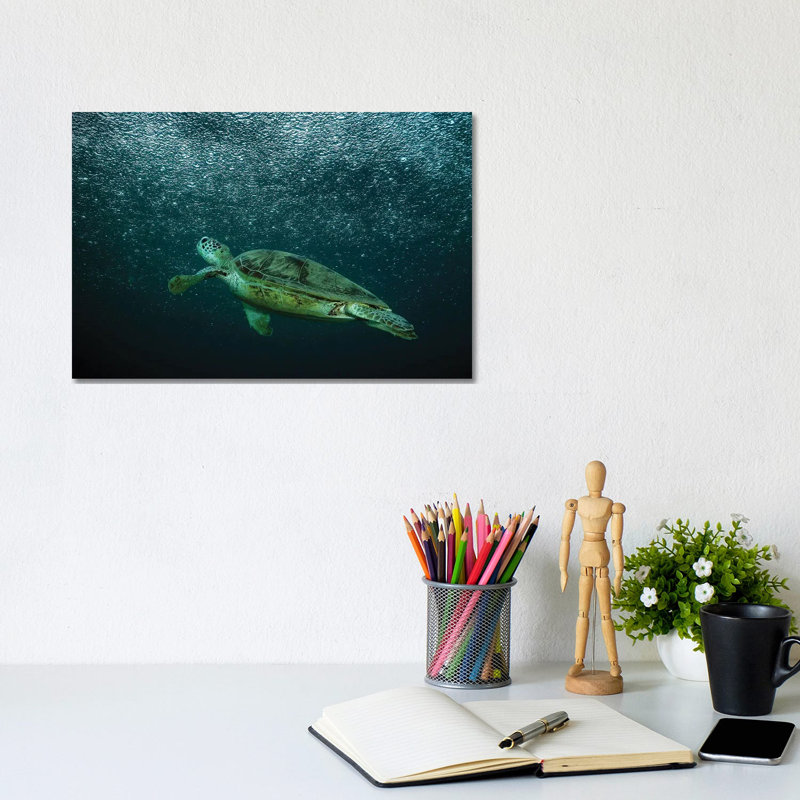 Rain by Serge Melesan - Wrapped Canvas Print, 20.32 cm H x 30.48 cm W