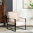 Mid-Century Modern Accent Chair, Durable Square Metal Frame, Plush Upholstery-1153202129