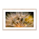 Float Away Print by Geoffrey Baris