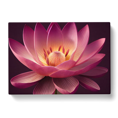 Dashing Lotus Flower - Wrapped Canvas Print