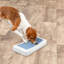 Planche d'activité pour chien