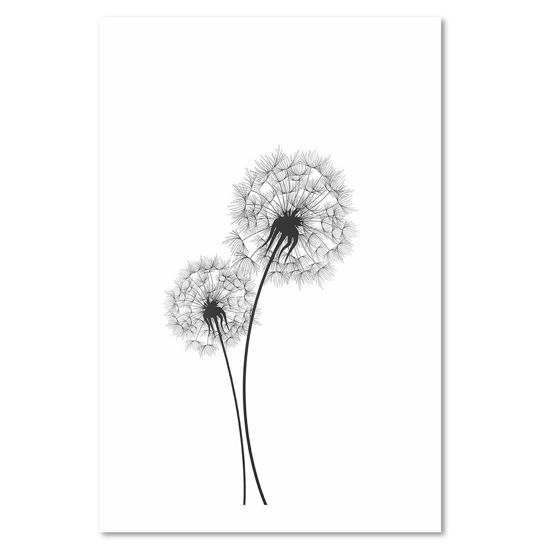 Leinwandbild Drawn Two Dandelions