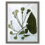 Sprout And Sprig Print by Susan Hable