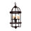 4 - Light Chandelier