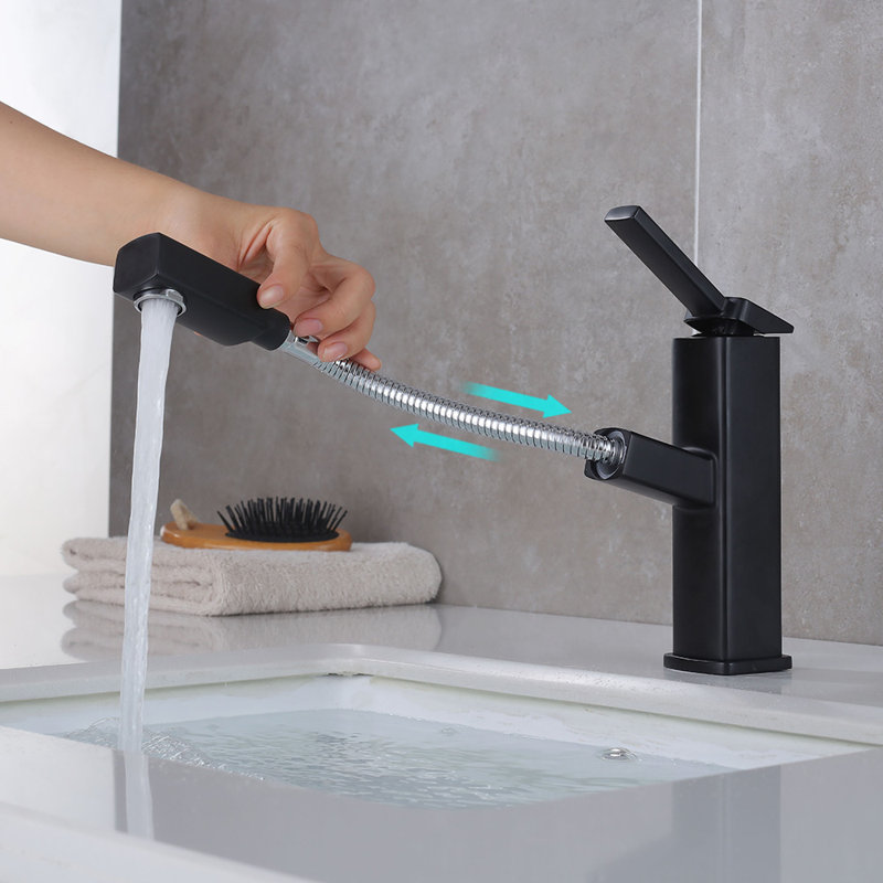 Black Single Handle Bathroom Faucet With Pull-Out Sprayer, Black, Regular