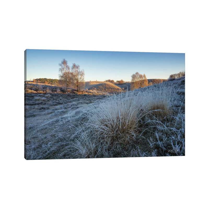 Cold as Ice 1 Piece Wrapped Canvas Wall Art, 101.6 cm H x 66.04 cm W x 3.175 cm D