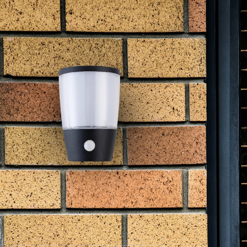 Canoby 16.3cm H Outdoor Armed Sconce, Black