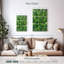 Plante grasse Harnek-108587471