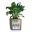 Pot Planter-50984108-50984114