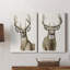 «Handsome Whitetail» - Toile tendue avec châssis de qualité supérieure - Prêt à être accroché