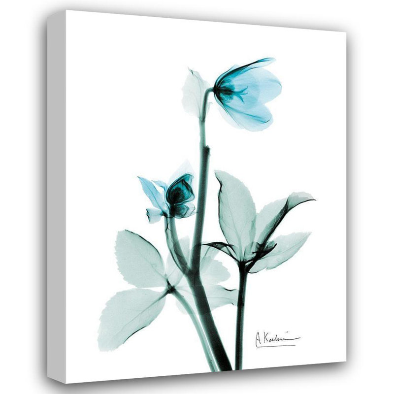 Art sur toile tendu Lark Manor ™, Koetsier, Albert, Aqua Helle Borus, H 36 po x l 28 po