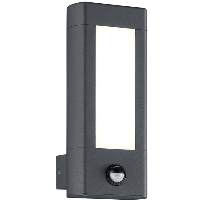 Evia 2-Light LED Outdoor Sconce