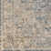 Gorsuch Oriental Indoor Rug