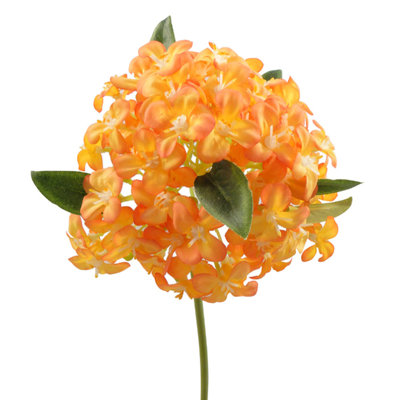 Snowball Arrangement