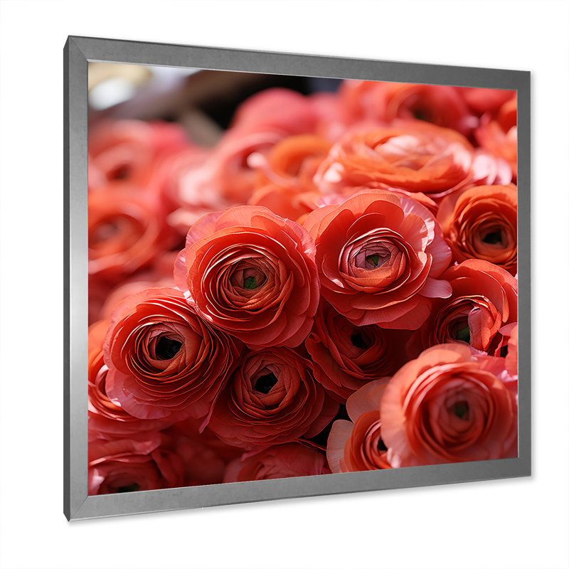 Ranunculus rose, couches de beauté - Renoncule, art mural, Cadre simple argenté, H 16 po x l 16 po x P 1 po