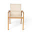 Chaises d'extérieur en filet beige: cadre solide pour le salon en bois 2 et siège confortable-975322427